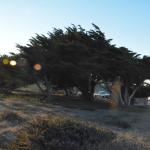 Cambria_0070 (November 02, 2013)